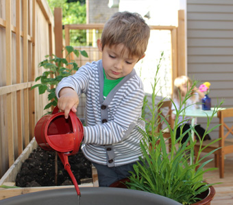 chestnutgrove montessori watering